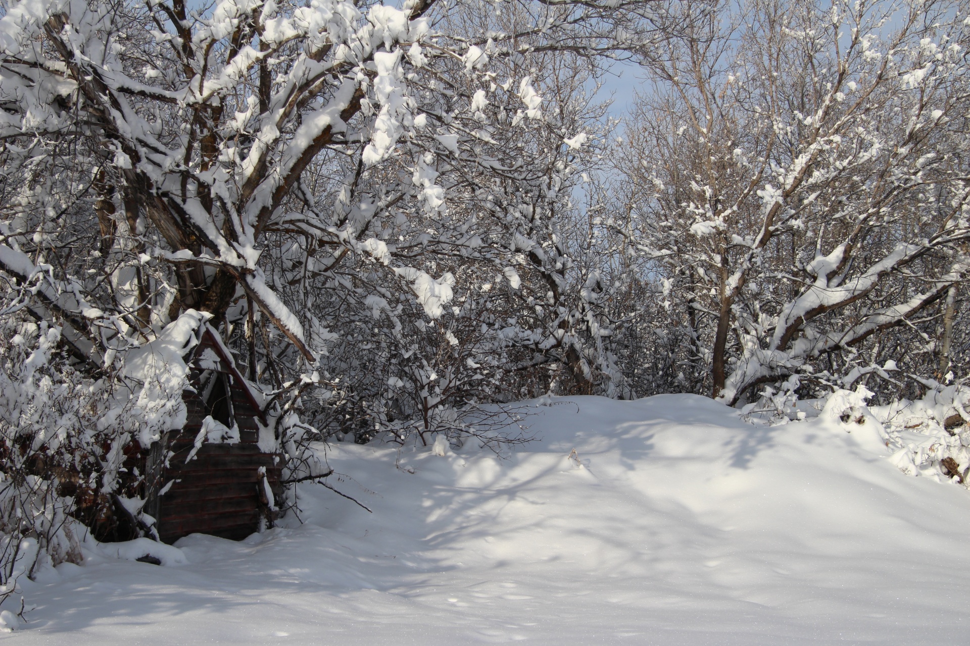 snow winter cabin free photo