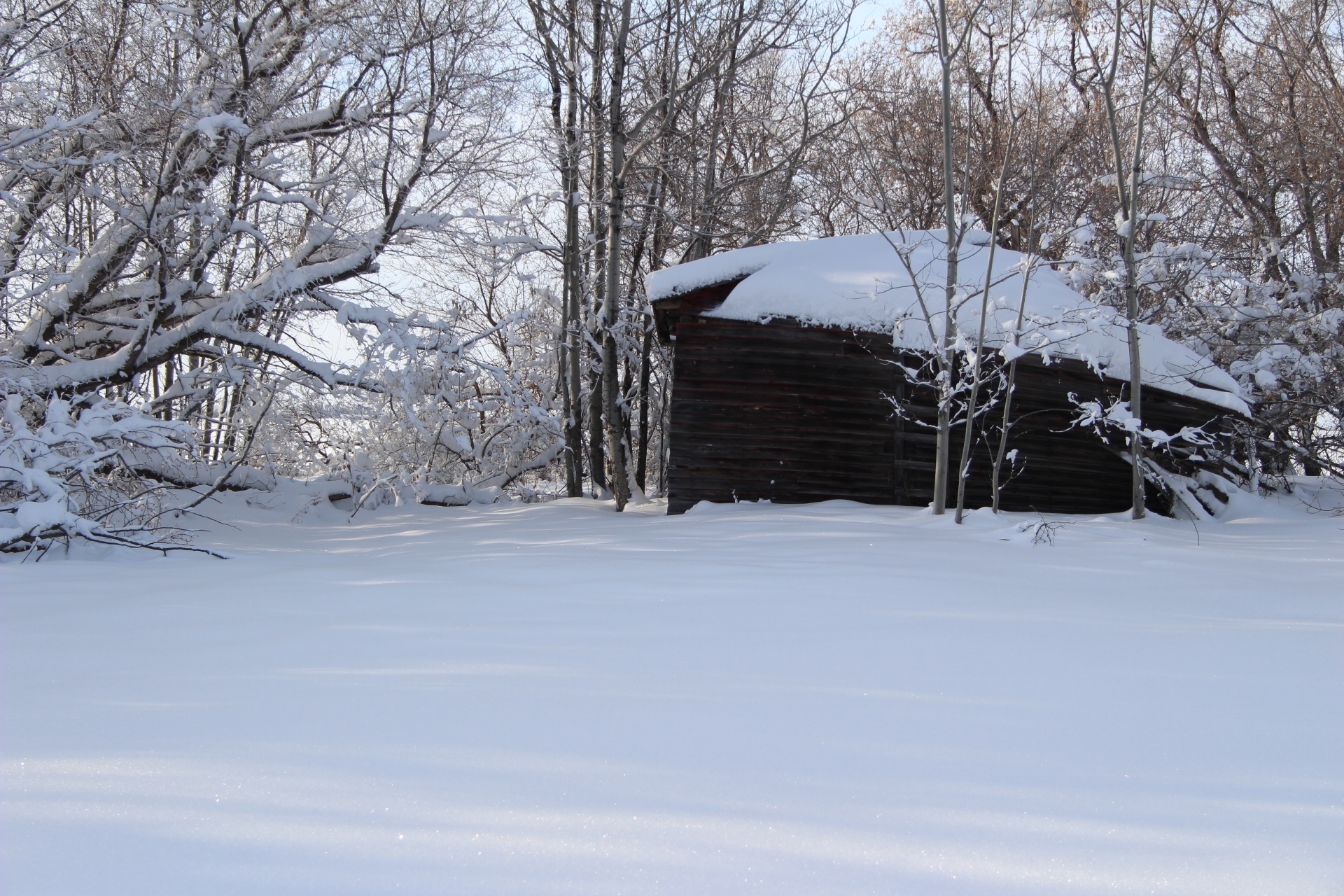 snow winter cabin free photo