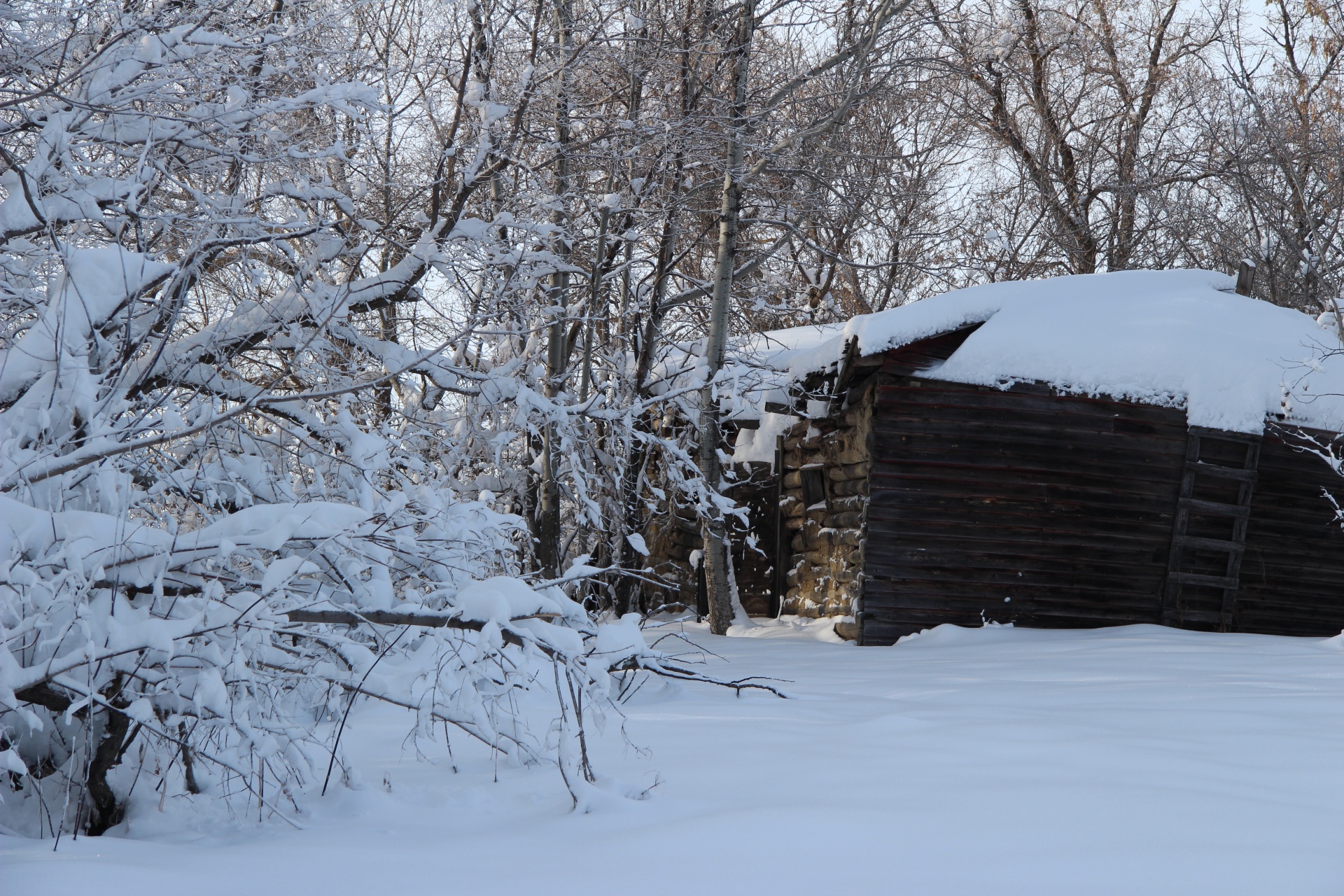 snow winter cabin free photo