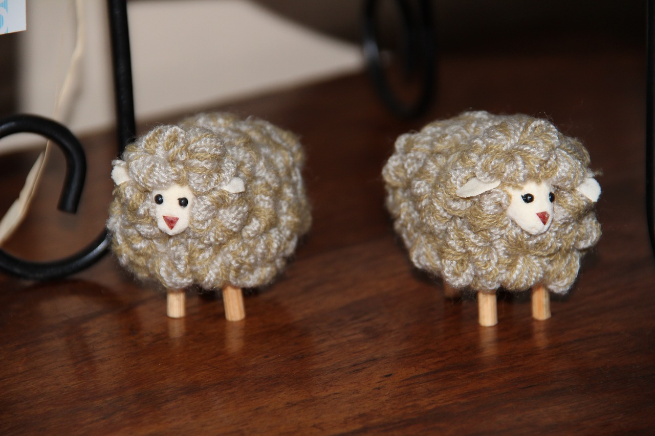 cabinet little sheep wool free photo