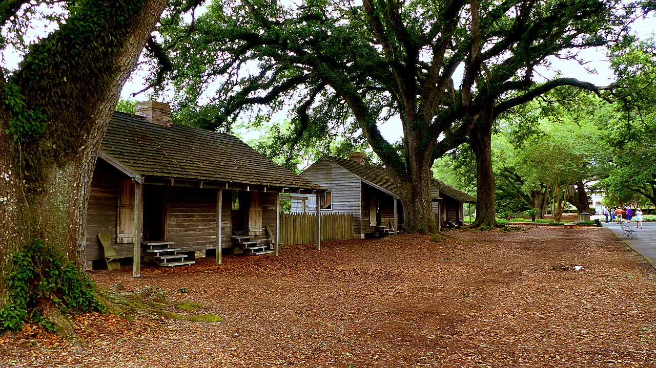 cabins  slaves  trees free photo