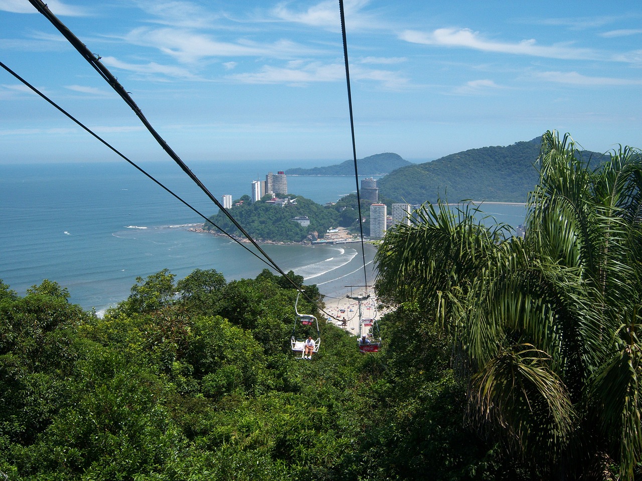 cable car atlantic forest forest free photo
