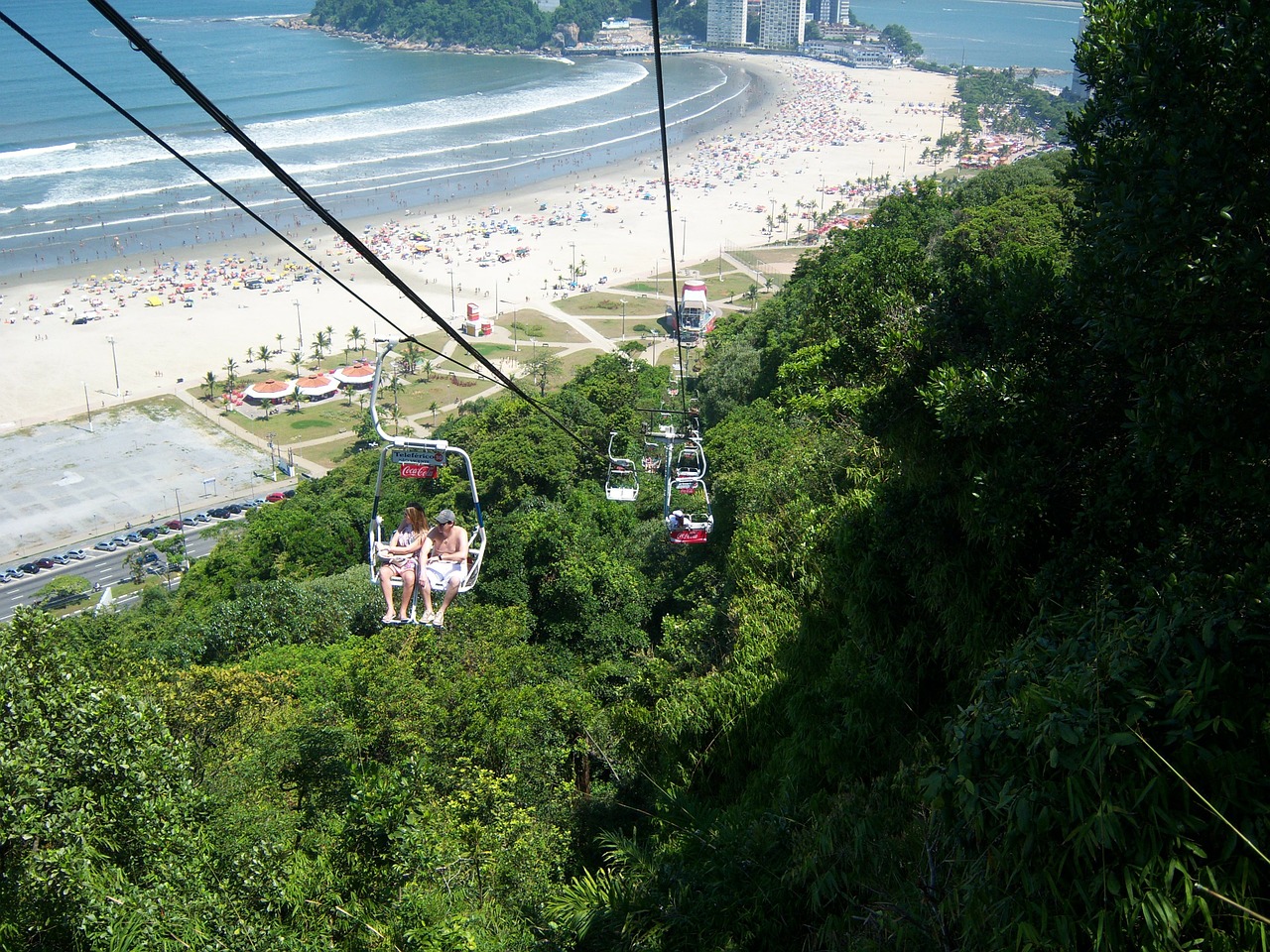cable car atlantic forest forest free photo