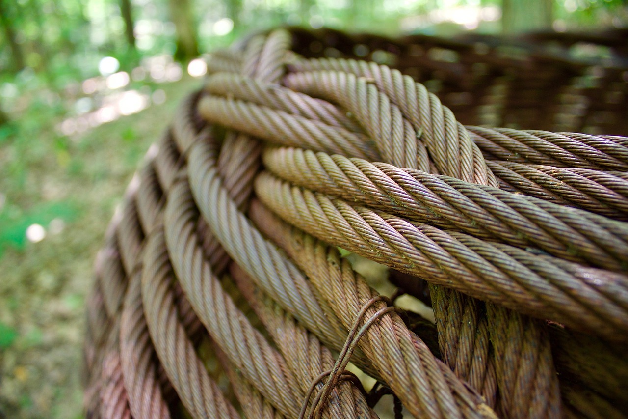 cables basket forest free photo