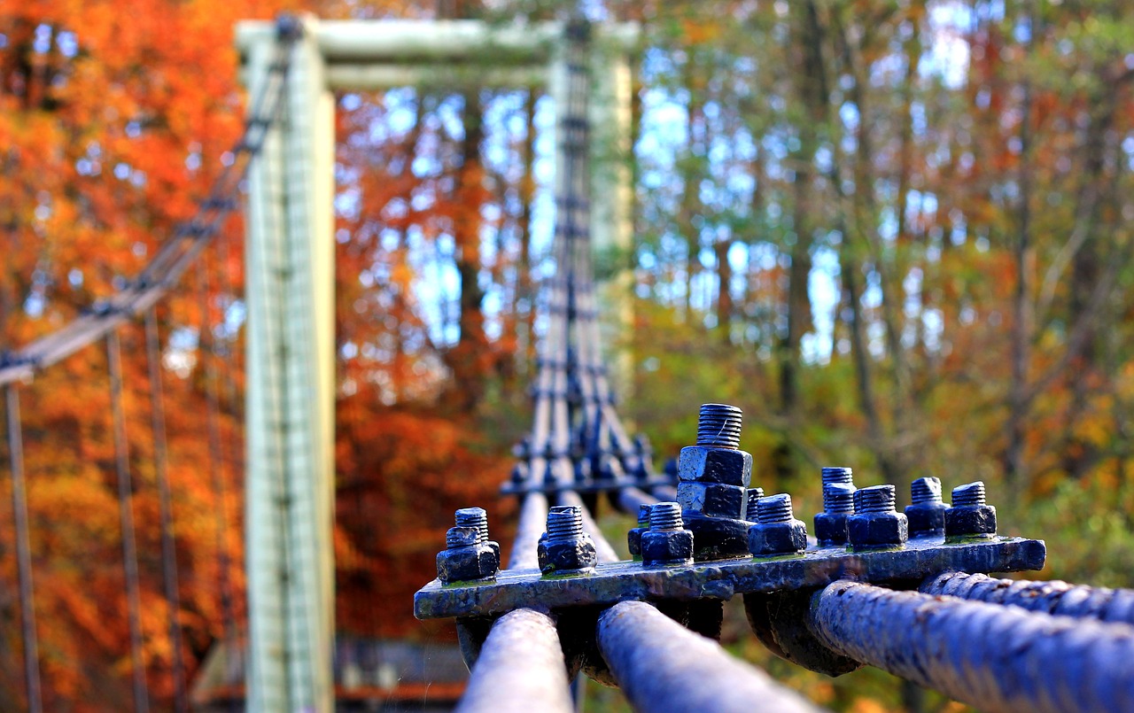 cables steel  bridge  autumn free photo