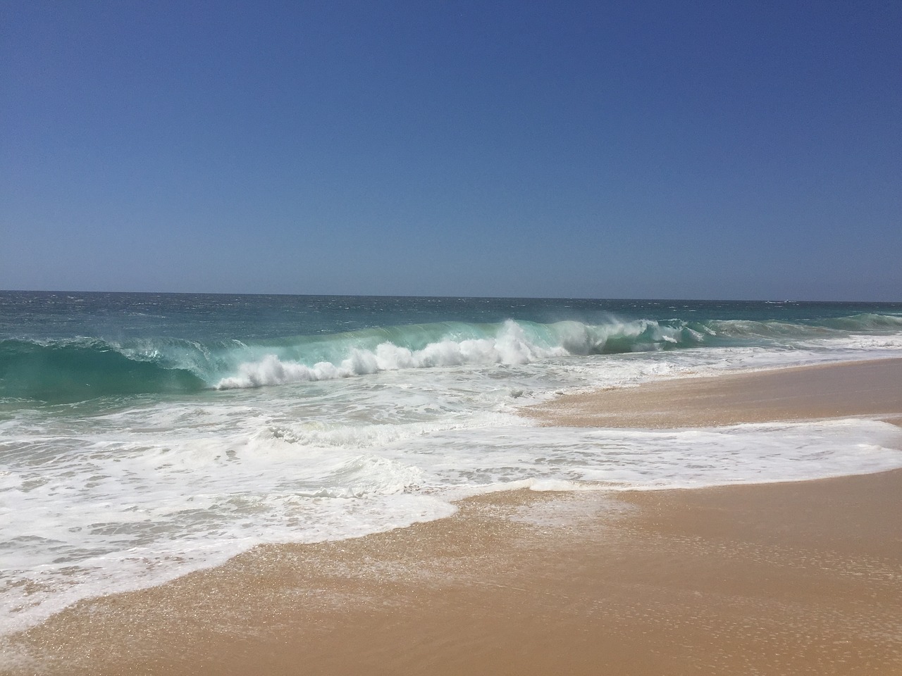 cabo san lucas beach waves free photo
