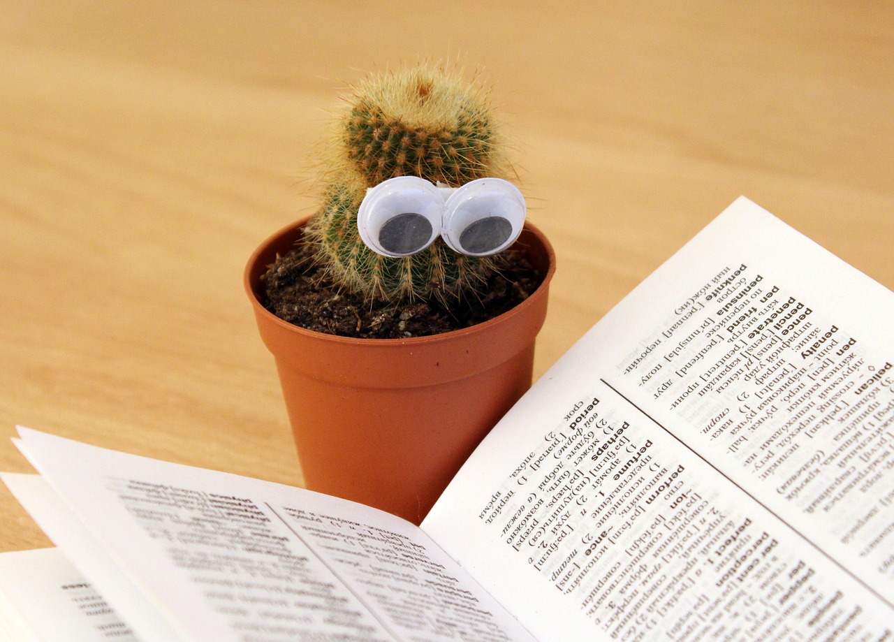 cactus eyes book free photo