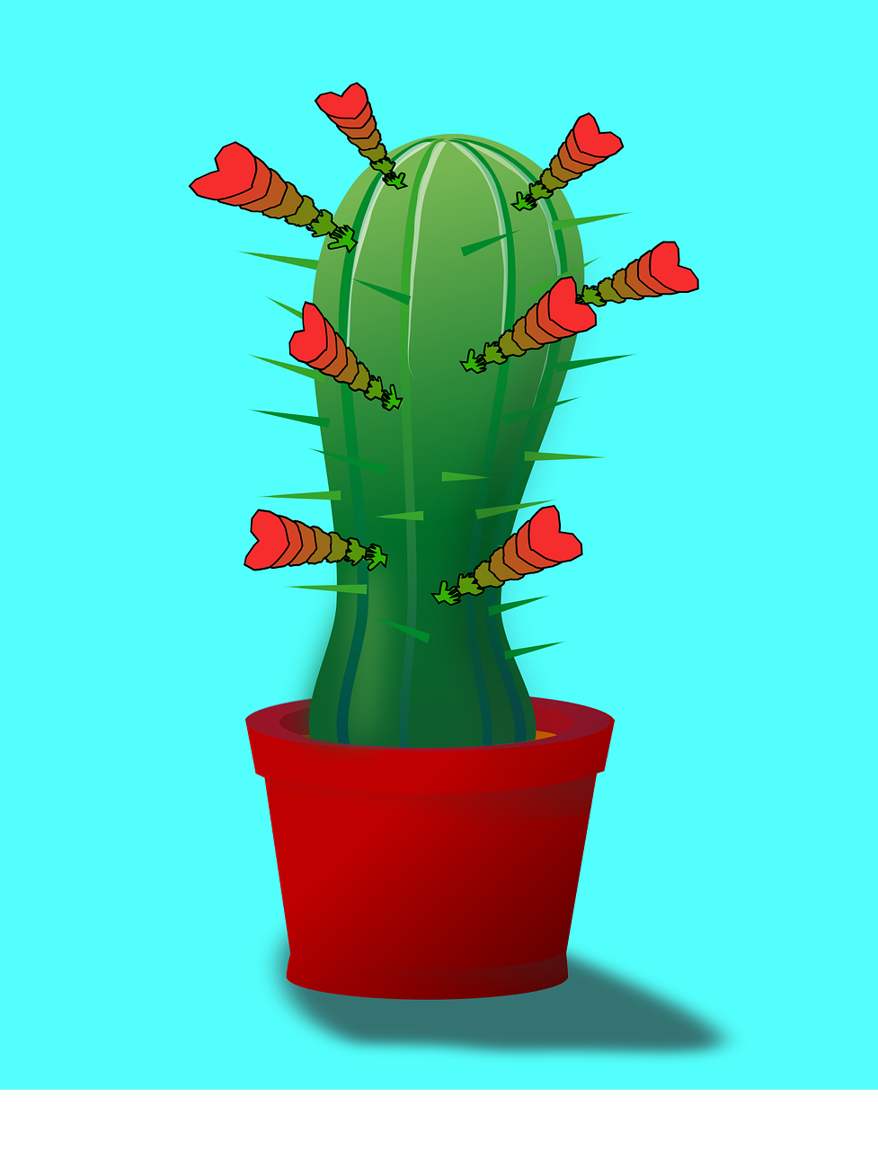 cactus flower hand free photo