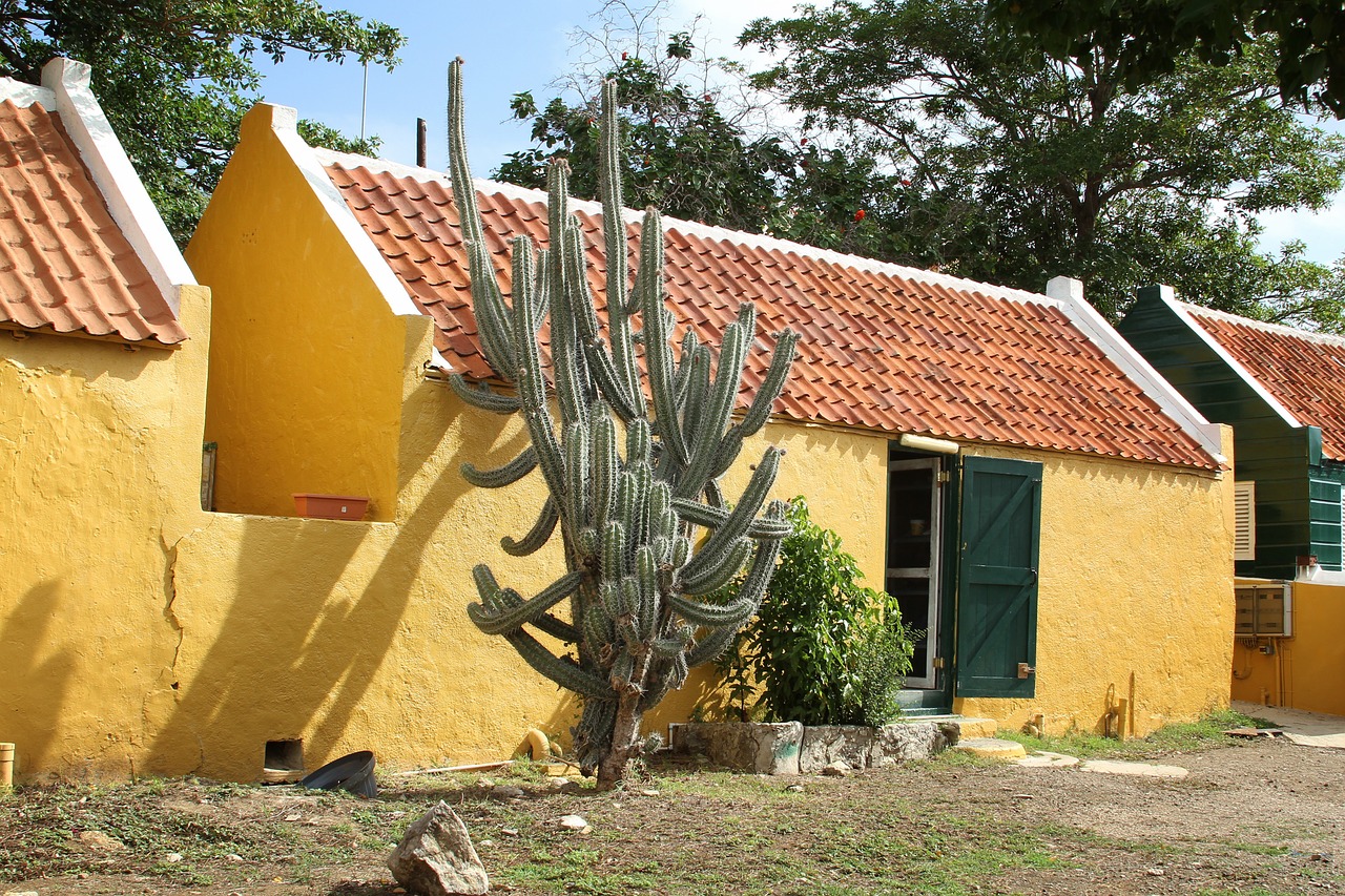 cactus curasao building free photo