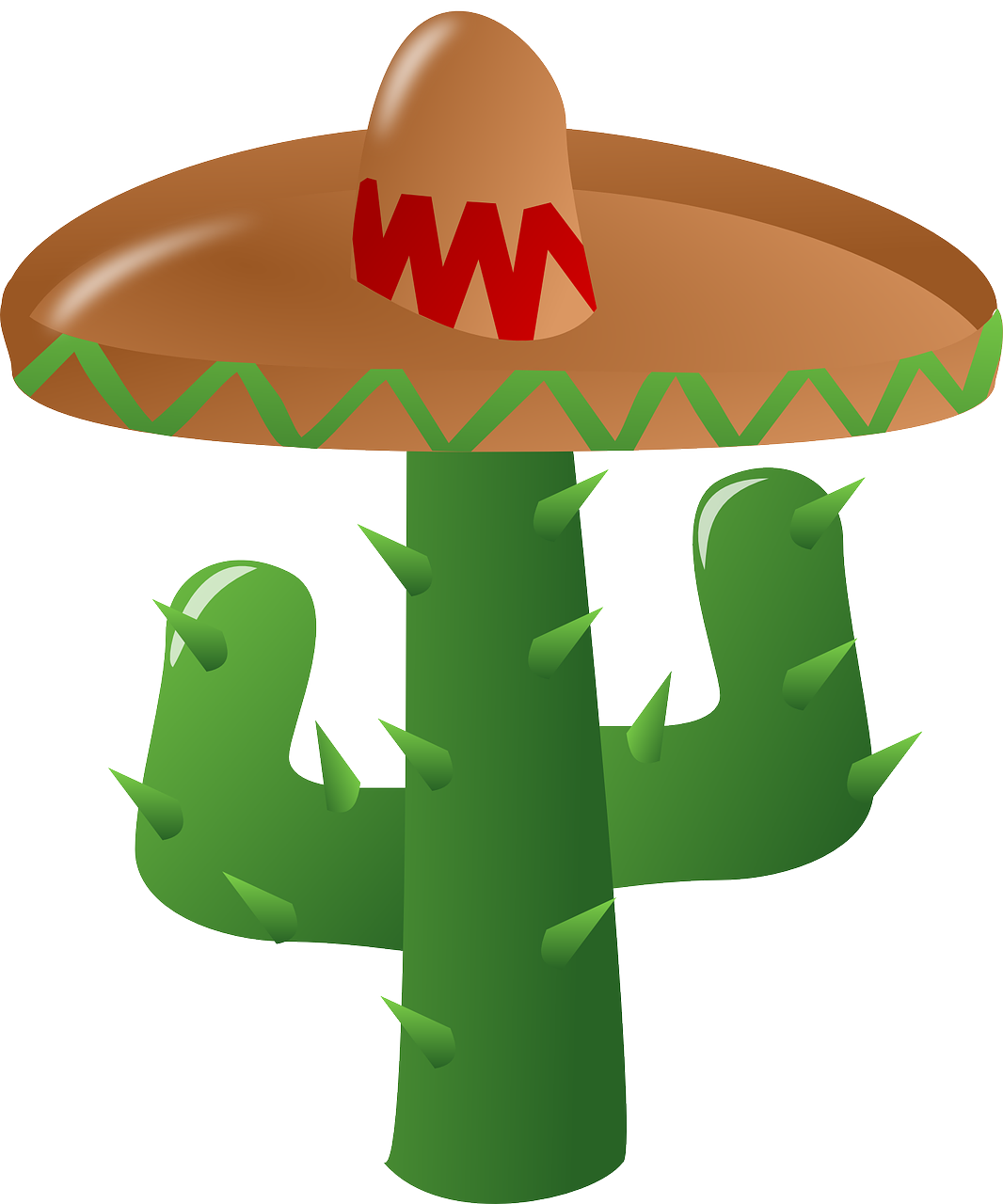 cactus sombrero mexican free photo