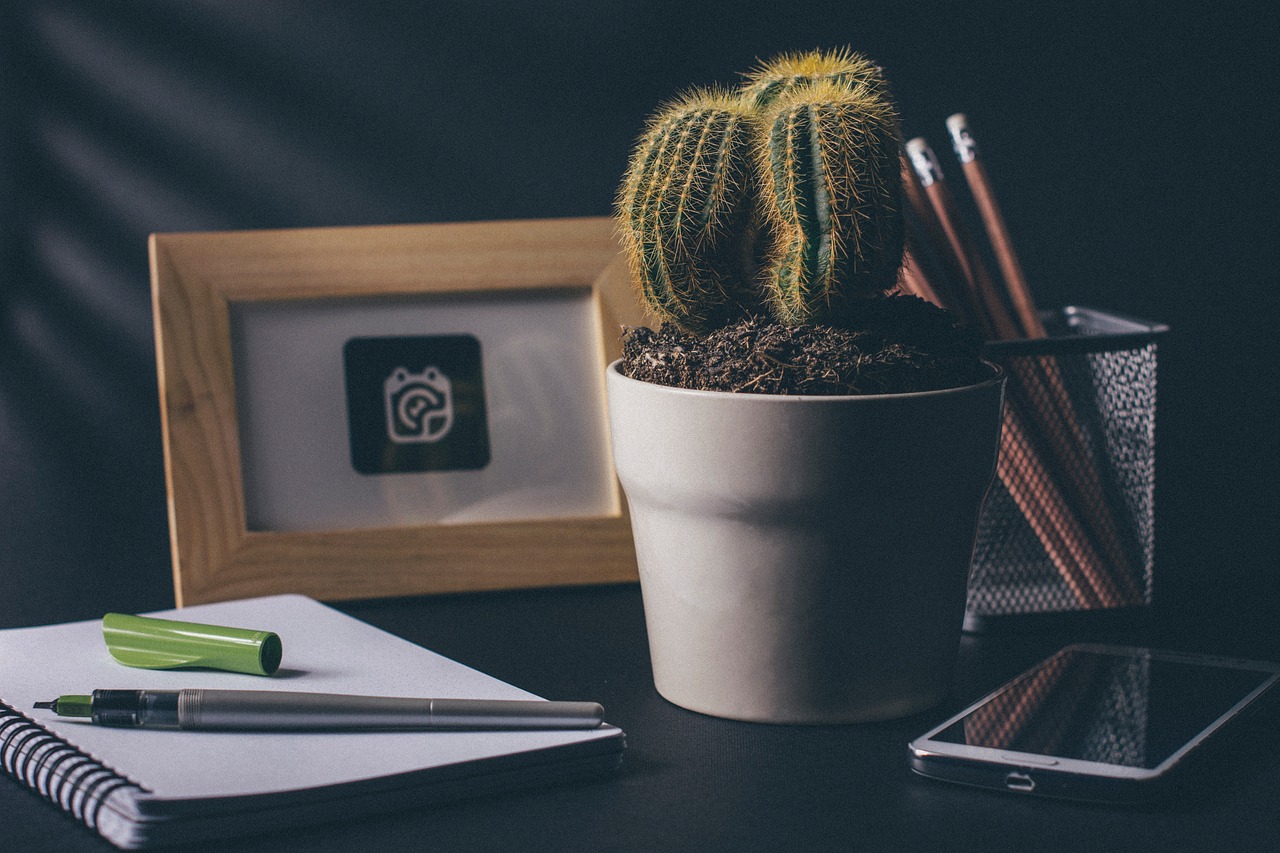 cactus office desk free photo