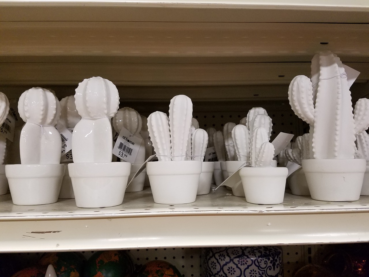 cactus ceramic decoration free photo