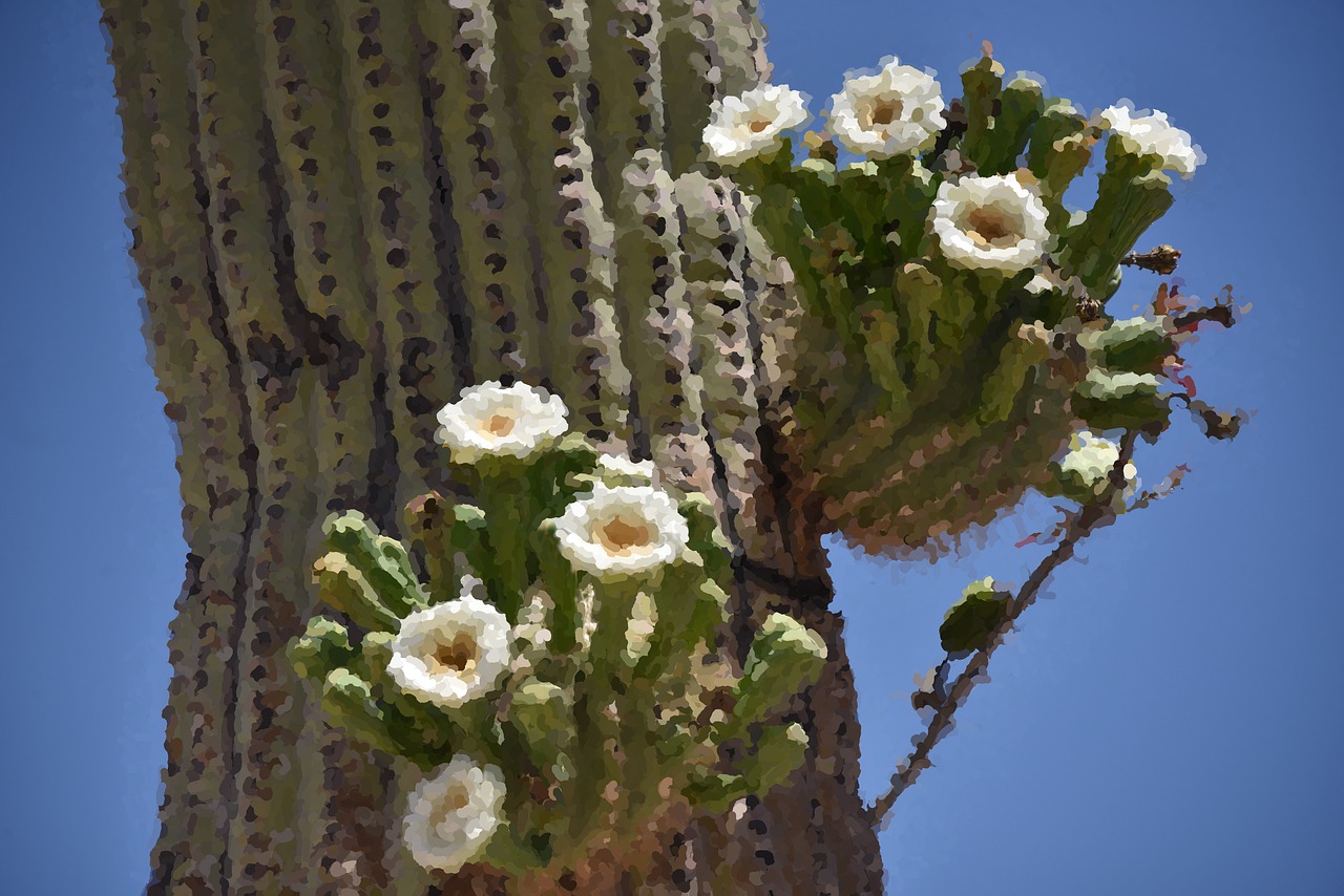 cactus impressionist painting free photo
