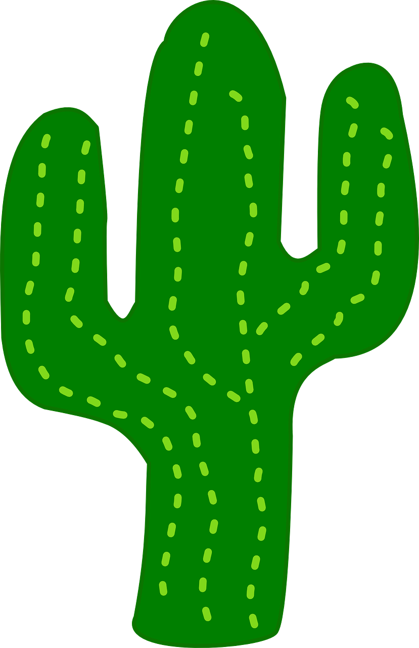 cactus flora desert free photo
