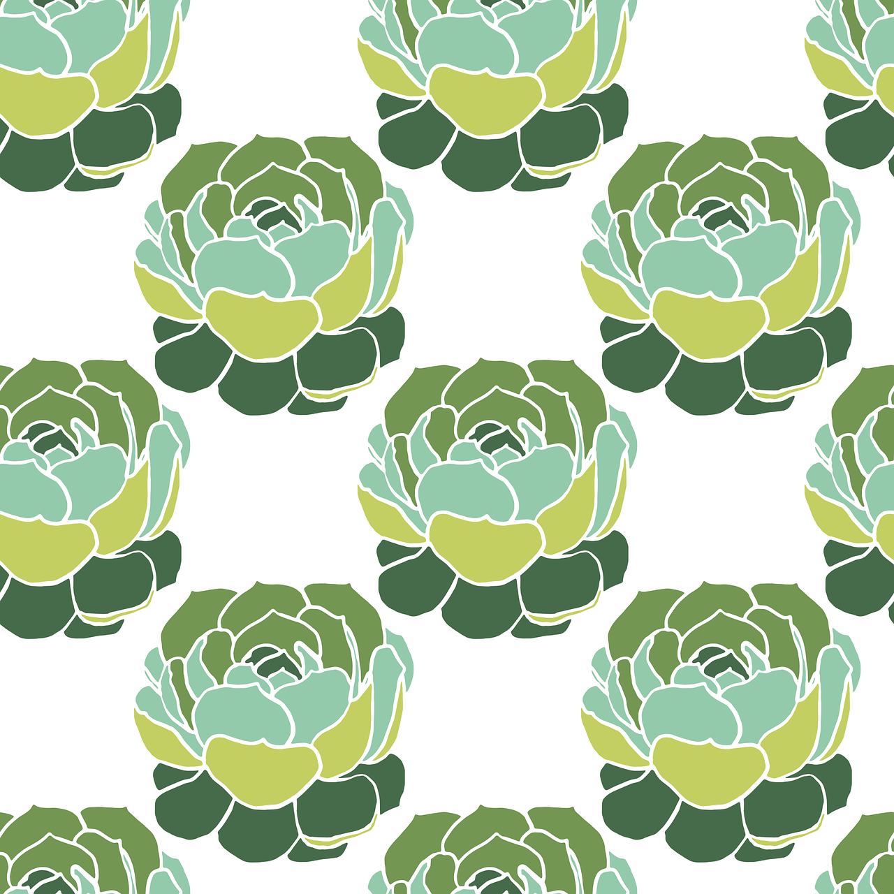 cactus  pattern  background free photo
