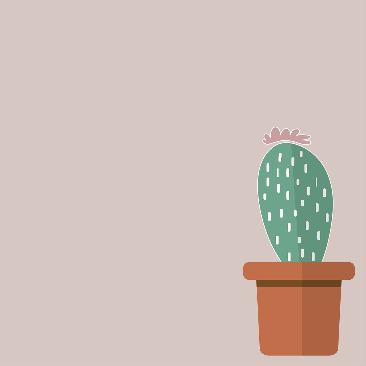 cactus  background  green free photo