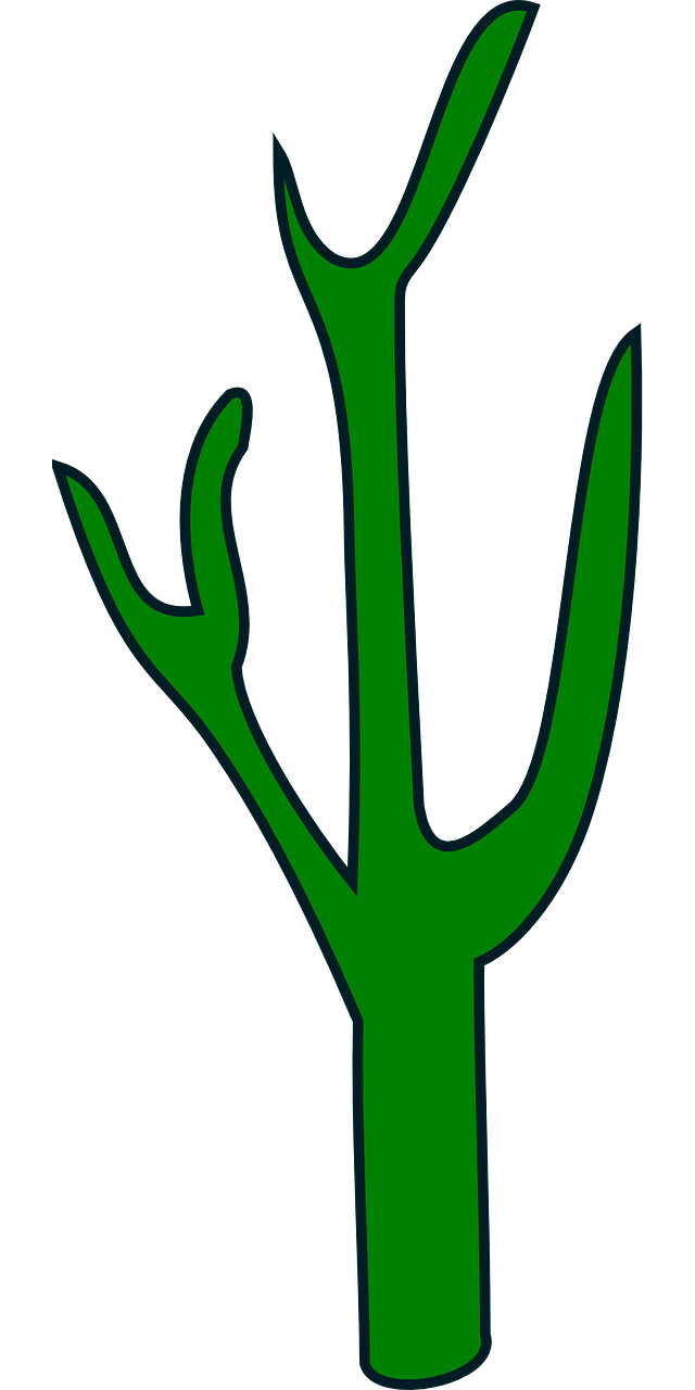 cactus,green,plant,cacti,succulent,nature,desert,prickly,tropical,floral,thorny,flora,free vector graphics,free pictures, free photos, free images, royalty free, free illustrations, public domain