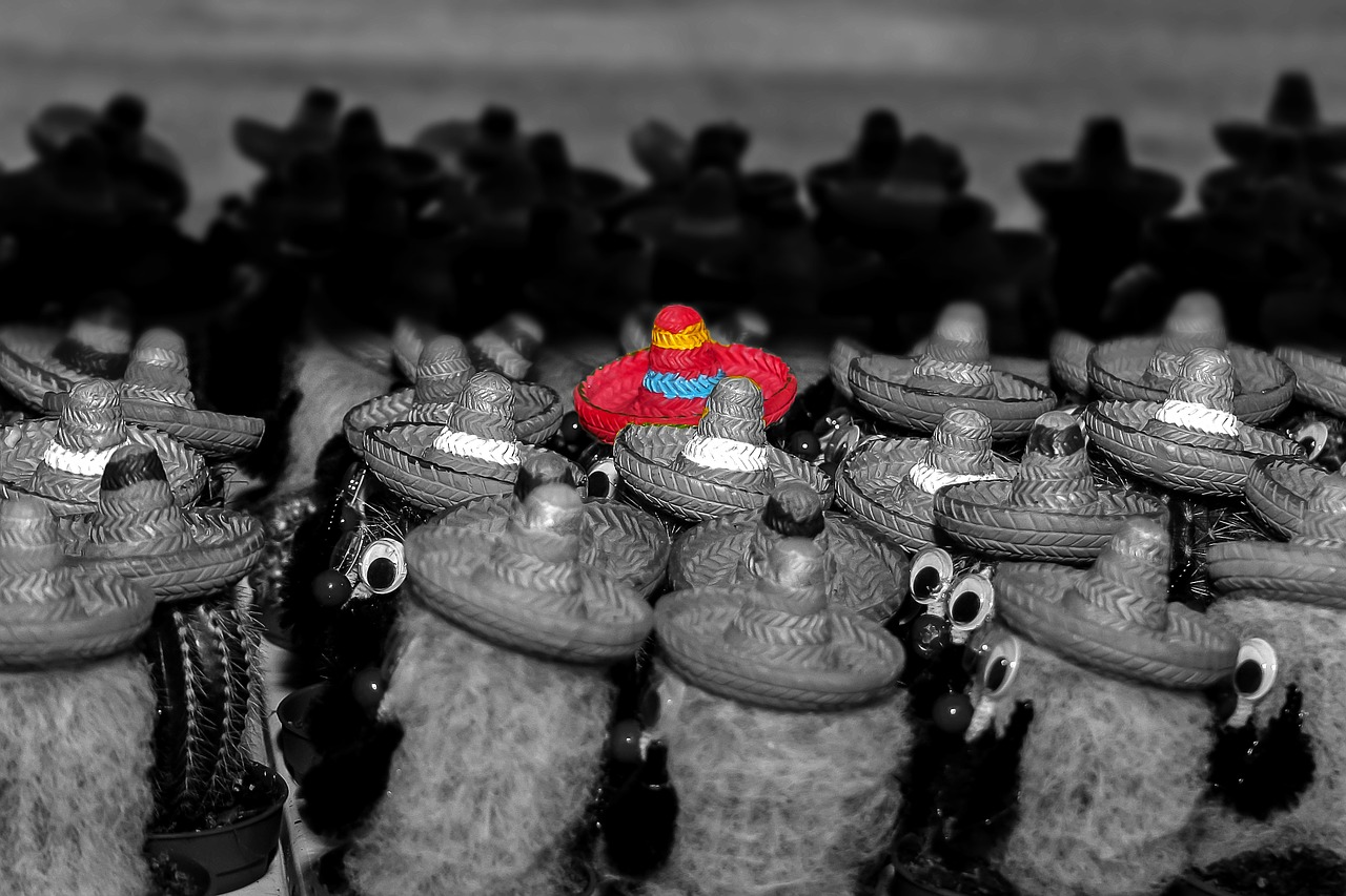 cactus mexico sombrero free photo