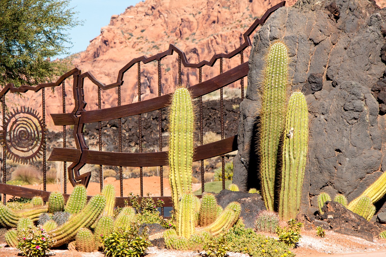 cactus garden gate utah free photo