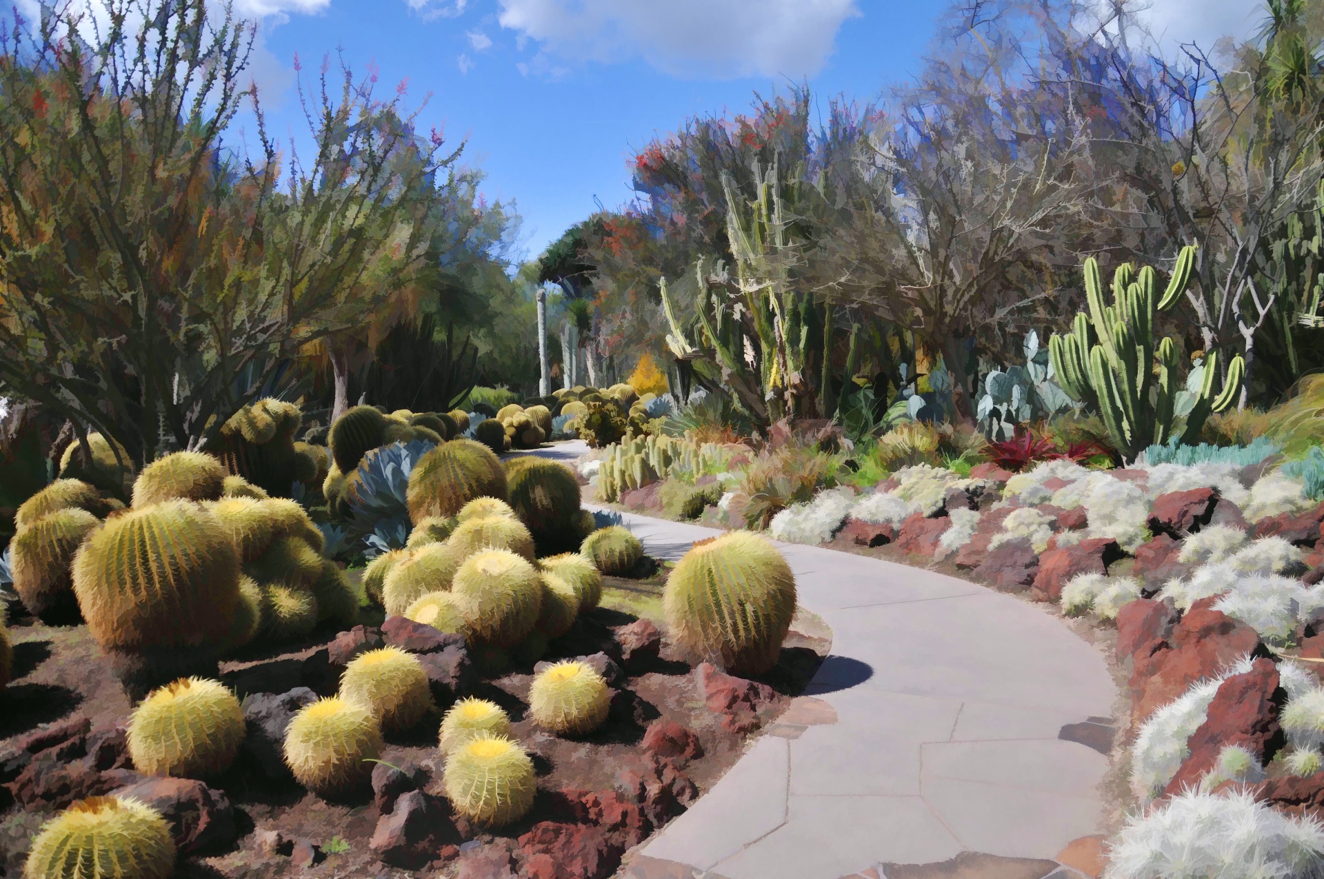 desert deserts cactus free photo