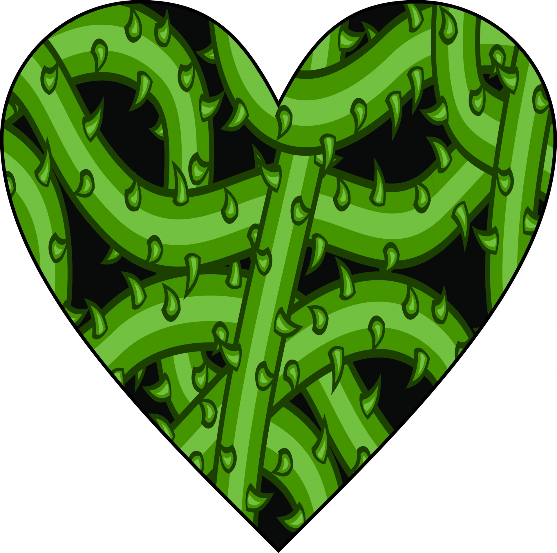 heart green cactus free photo