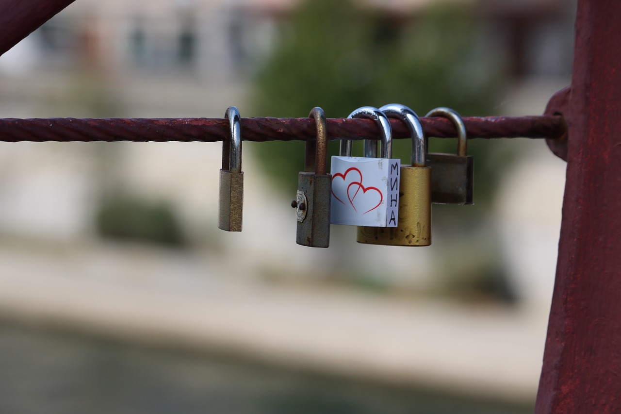 cadena  bridge  lyon free photo