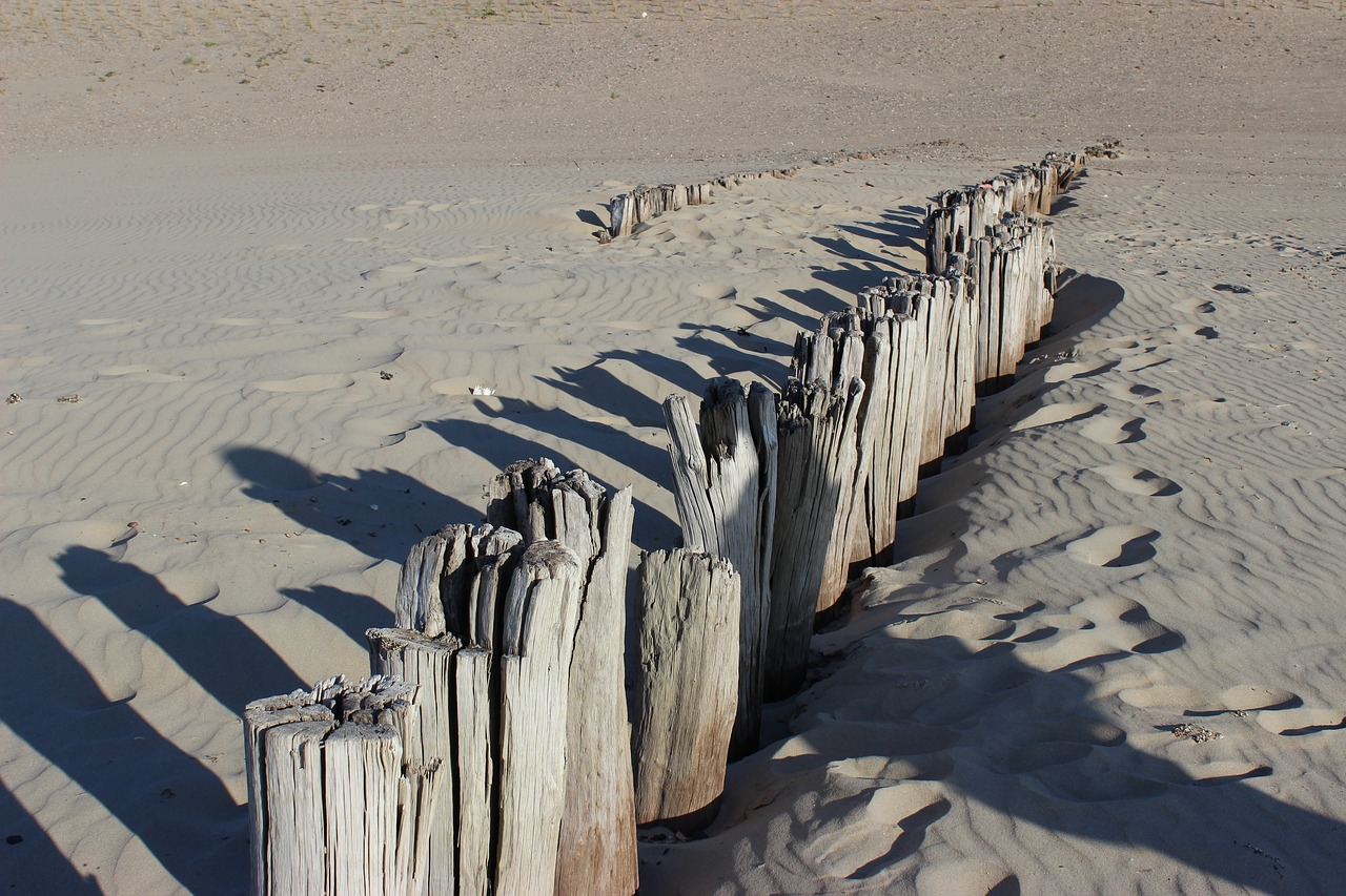 cadzand-bad netherlands holland free photo