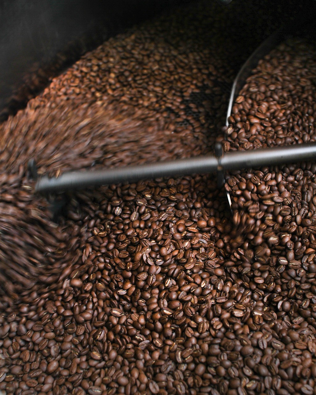 caffeine coffee coffee beans free photo