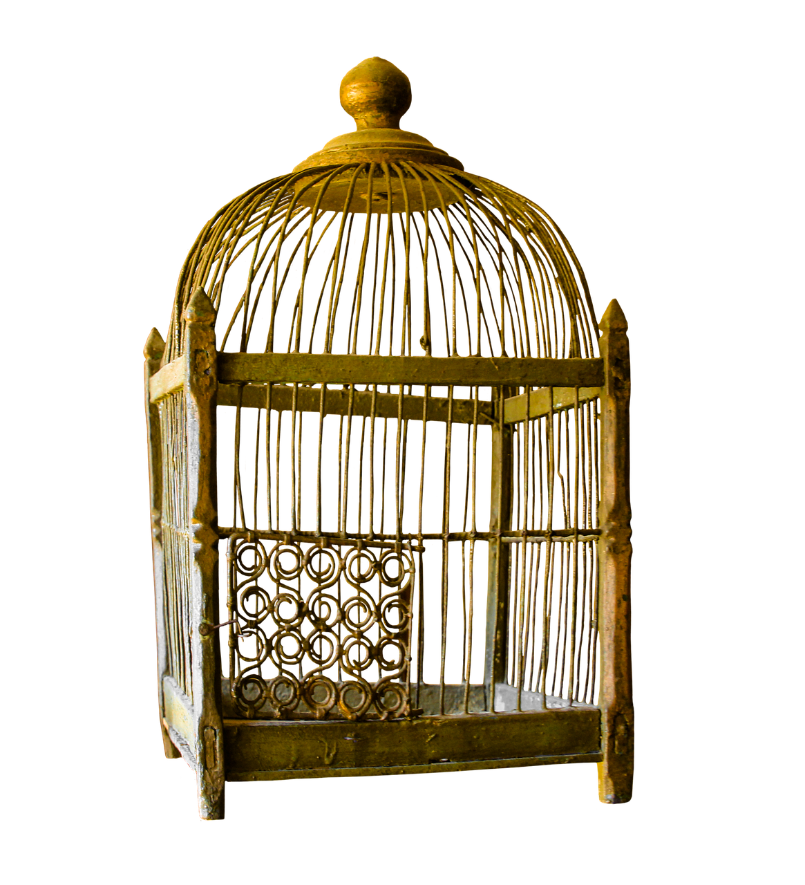 cage gold gilded free photo