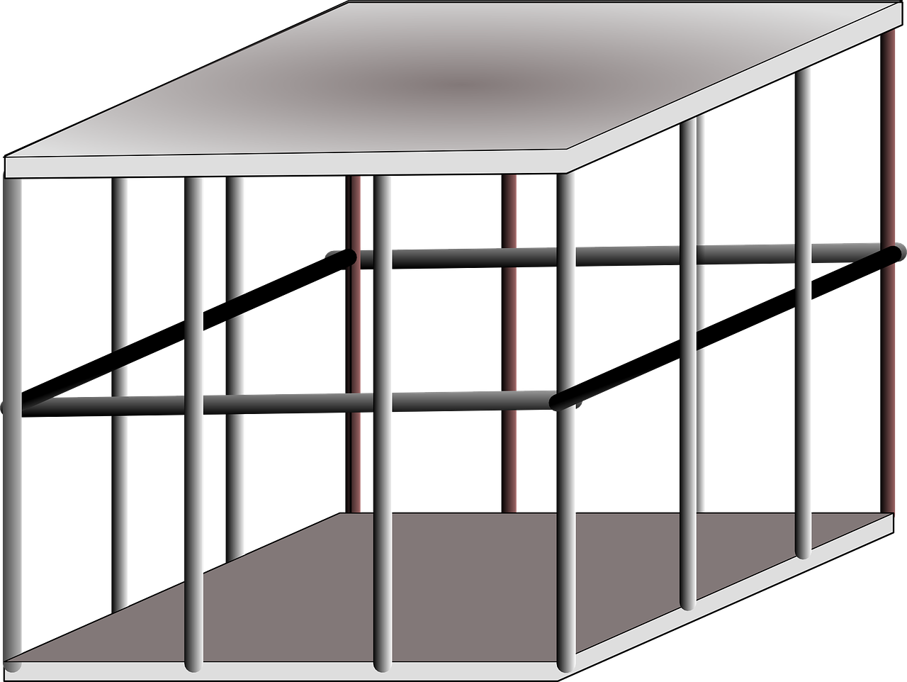 cage metal trapped free photo