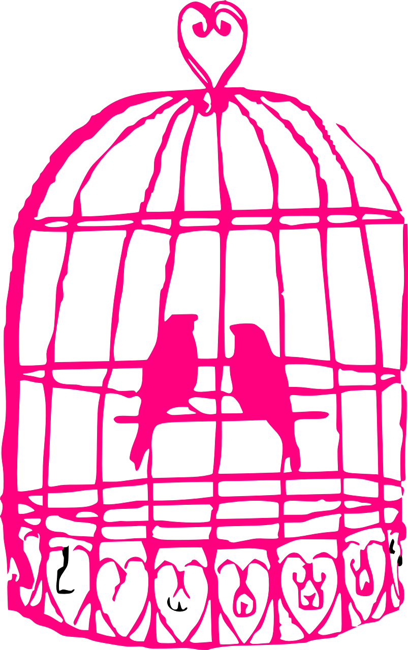 cage birds animals free photo