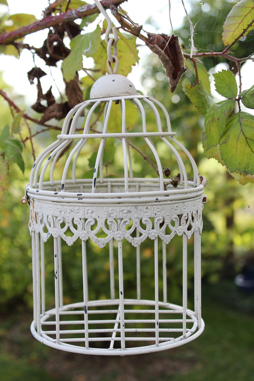 cage  tree  garden free photo