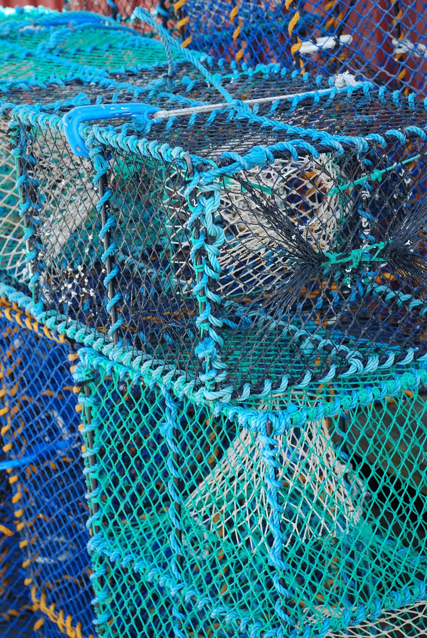 cages color fishing free photo
