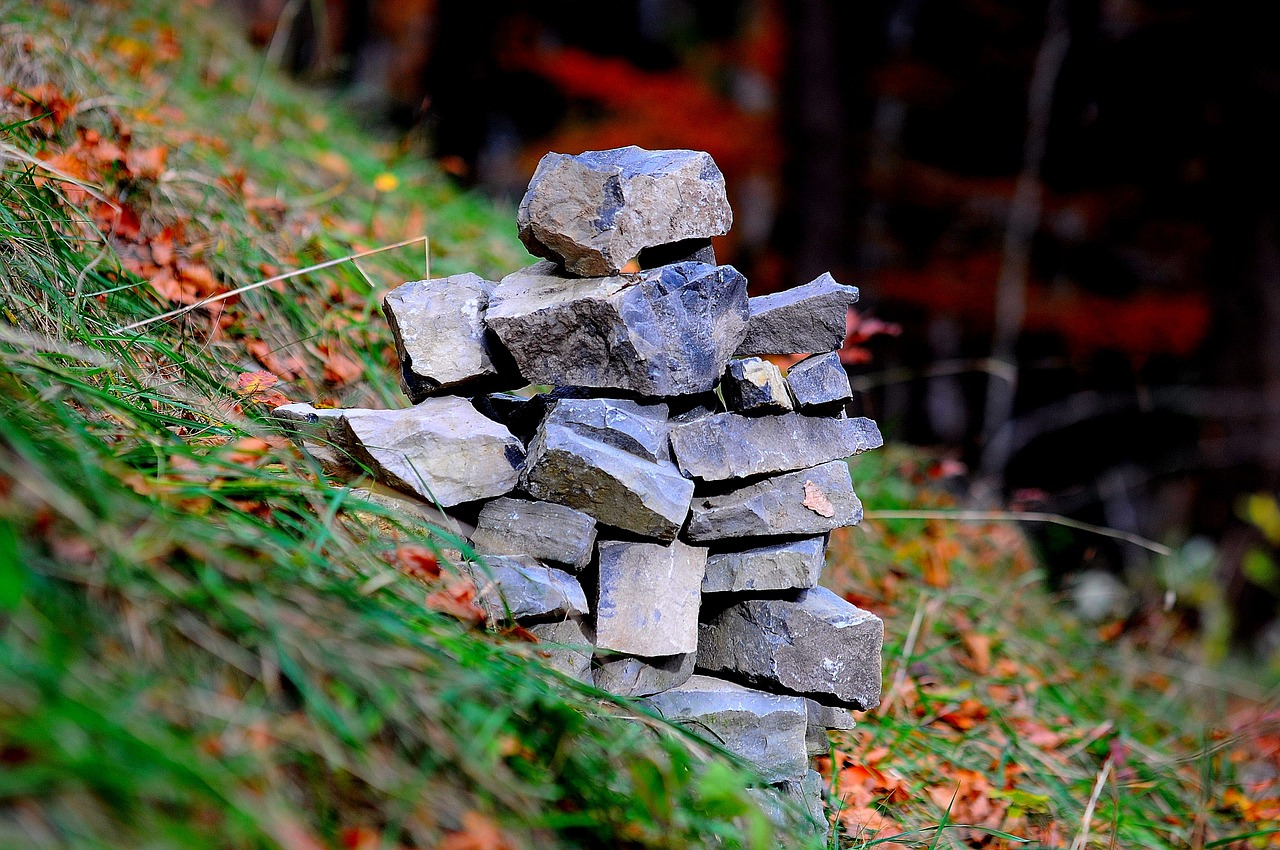 cairn stones forest free photo