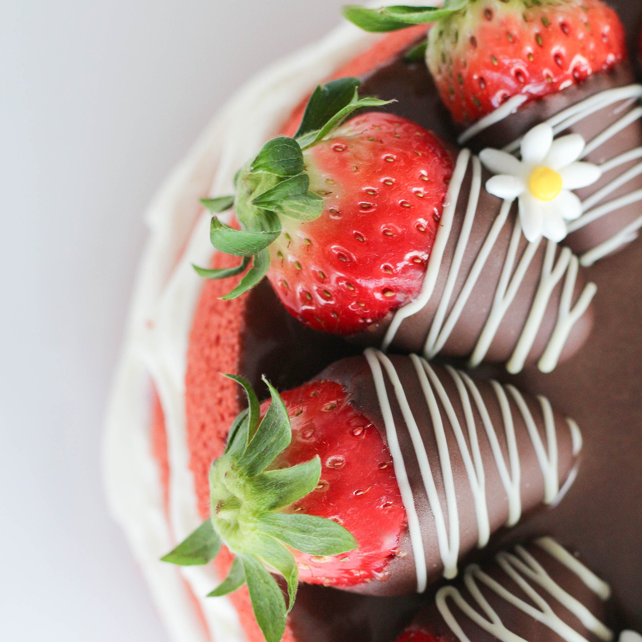 cake strawberry dessert free photo