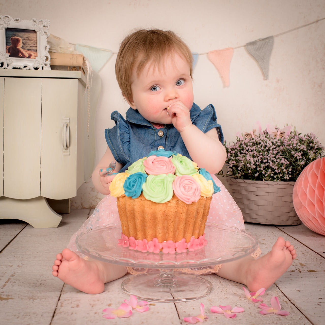 cake birthday baby free photo