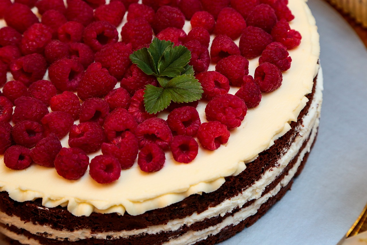 cake  berry  raspberry free photo