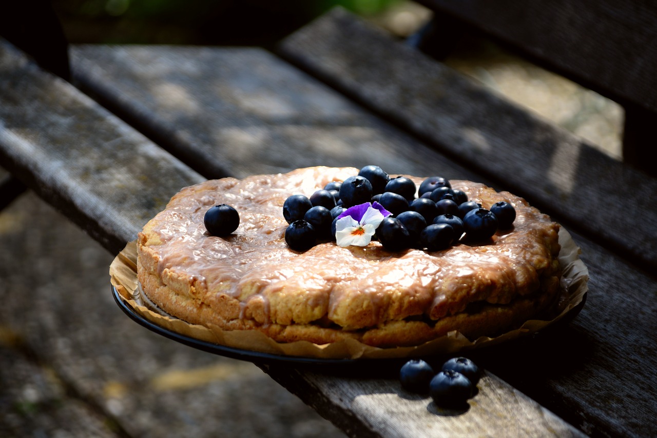 cake  blueberry pie  blueberries free photo