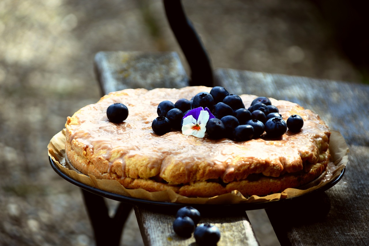 cake  blueberry pie  blueberries free photo