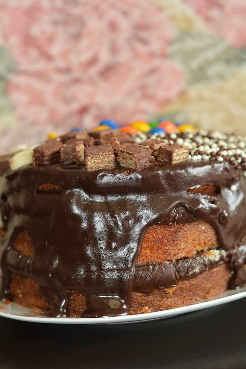 cake chocolate delicia free photo