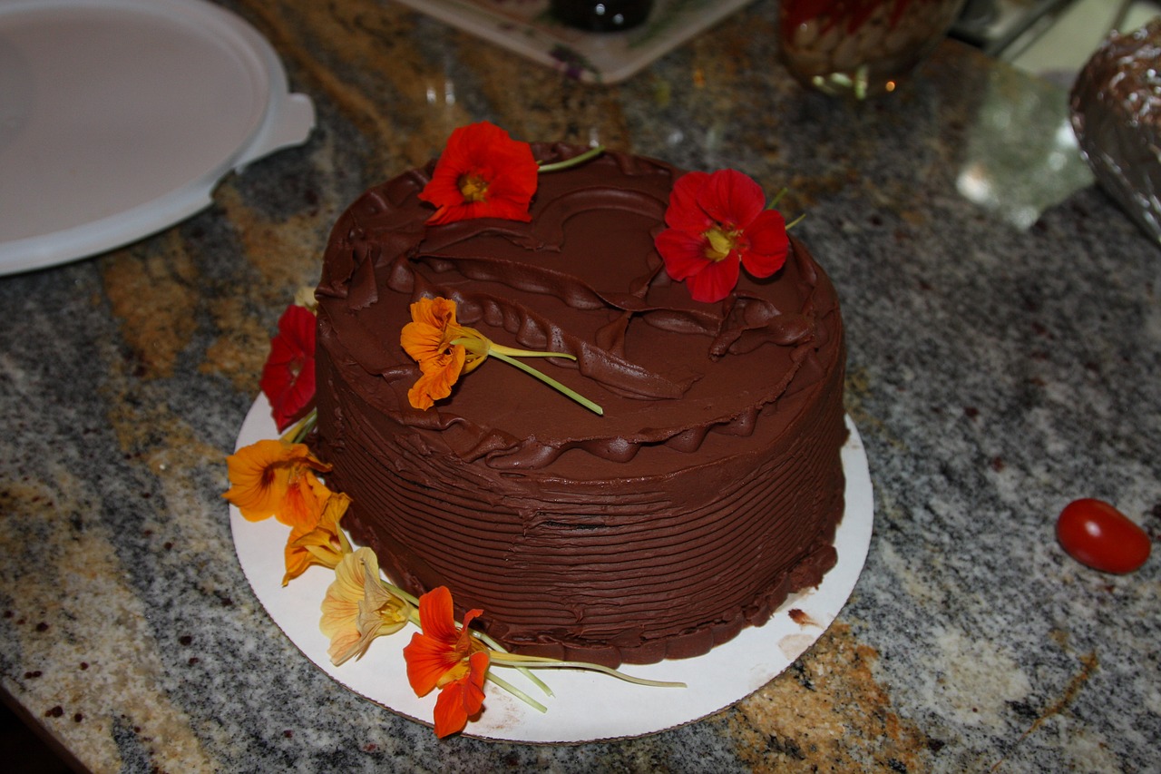 cake chocolate chocolate cake free photo