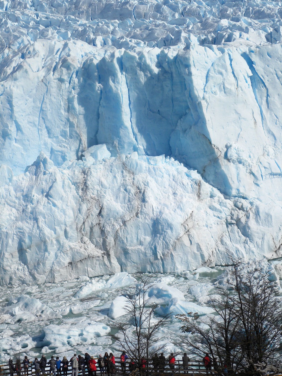 calafate ice patagonia free photo