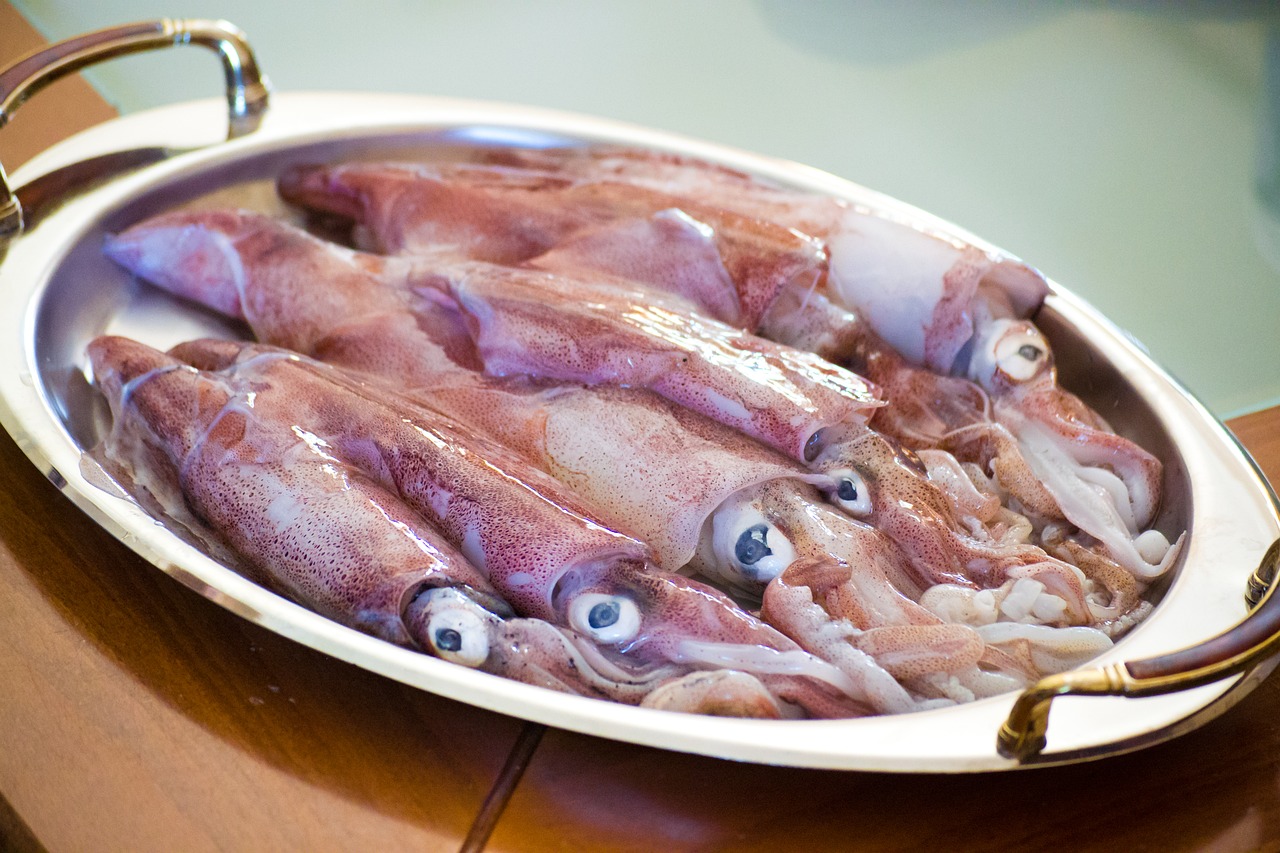 calamari sea food squid free photo