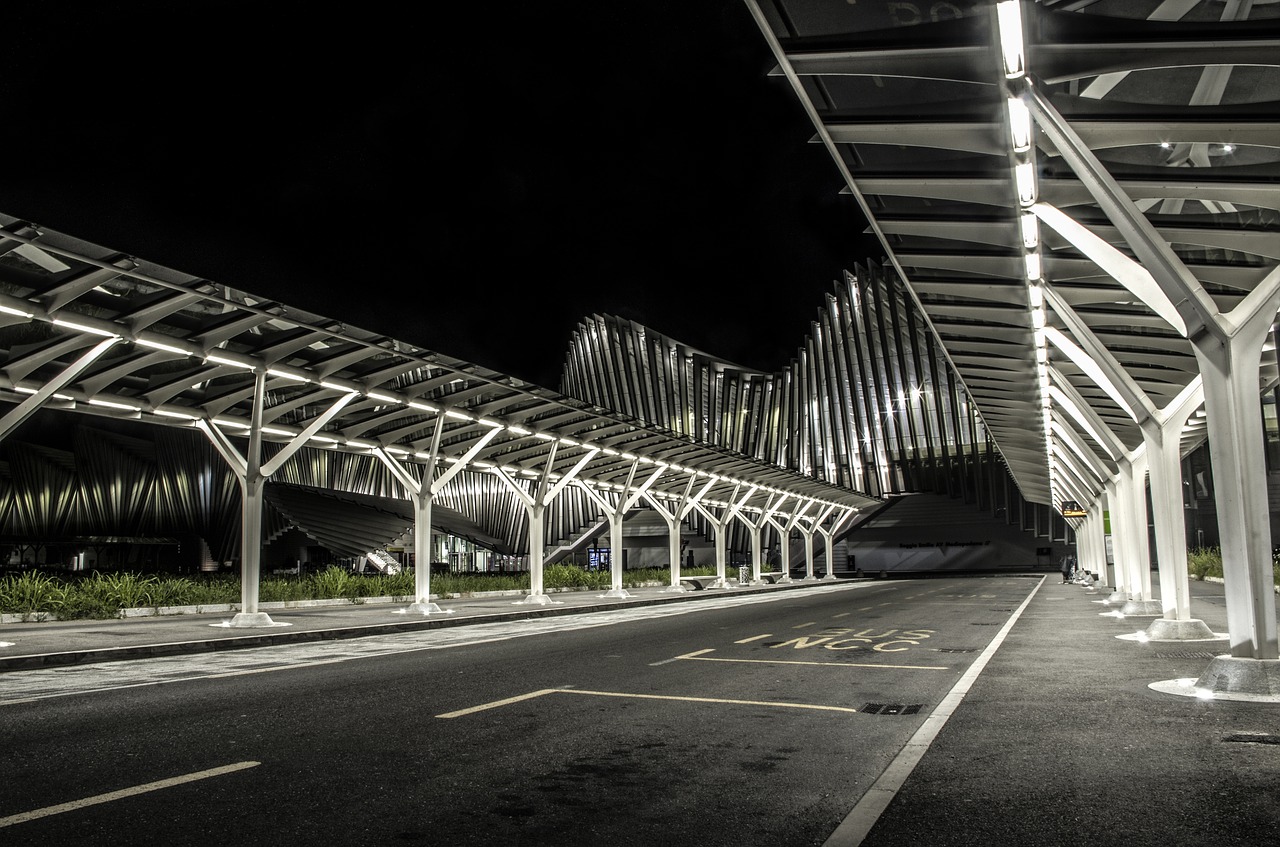 calatrava  night  landscape free photo