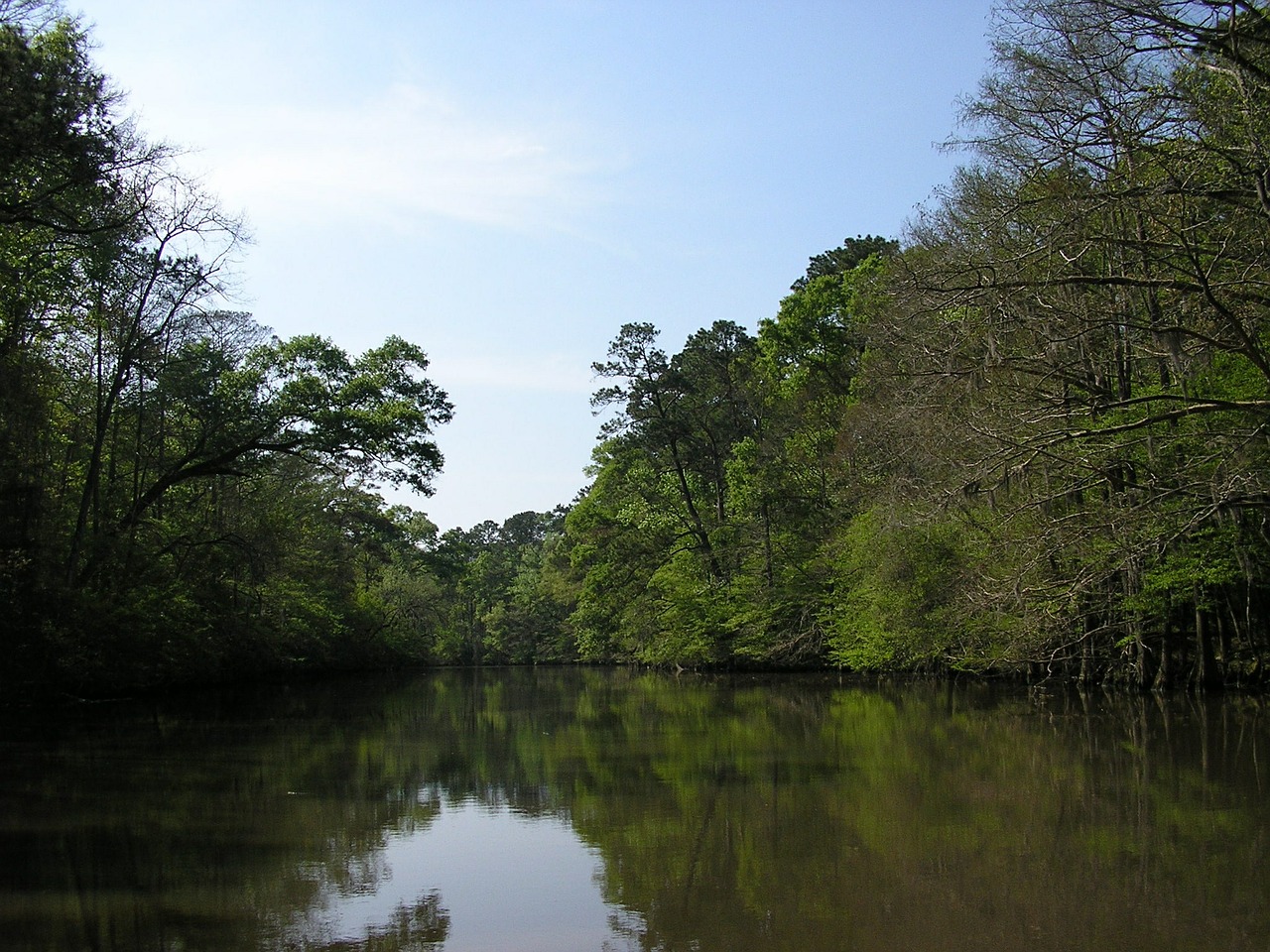 calcasieu river river water free photo