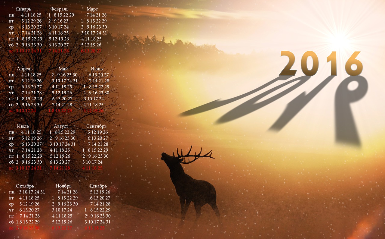 calendar 2016 new year's eve free photo