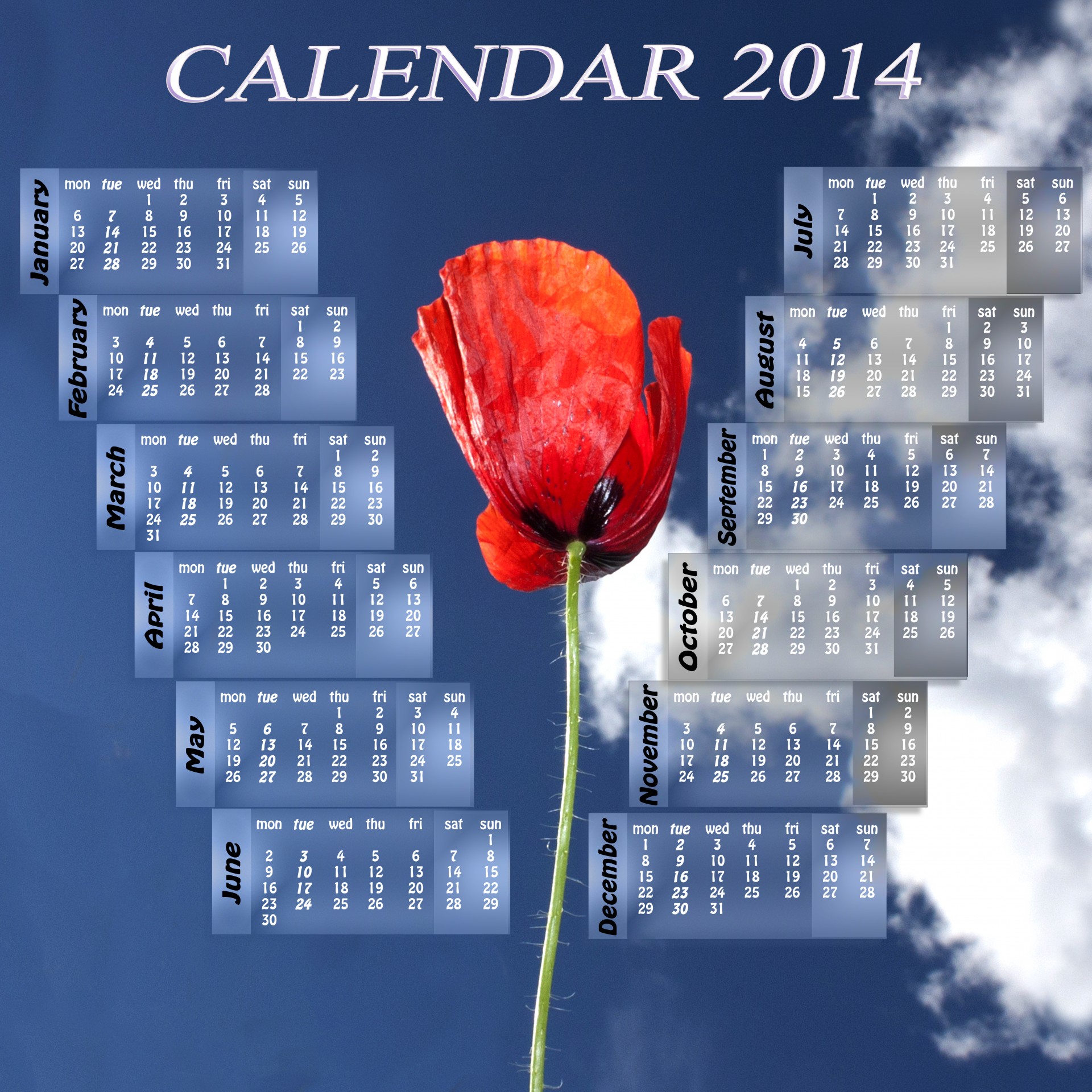 calendar 2014 poppy free photo