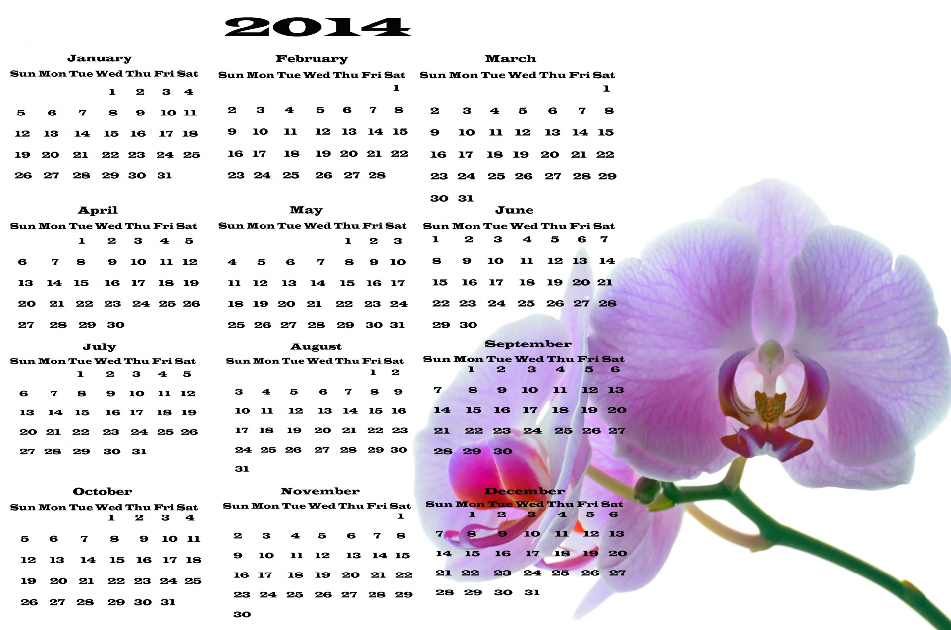 2014 calendar vector free photo