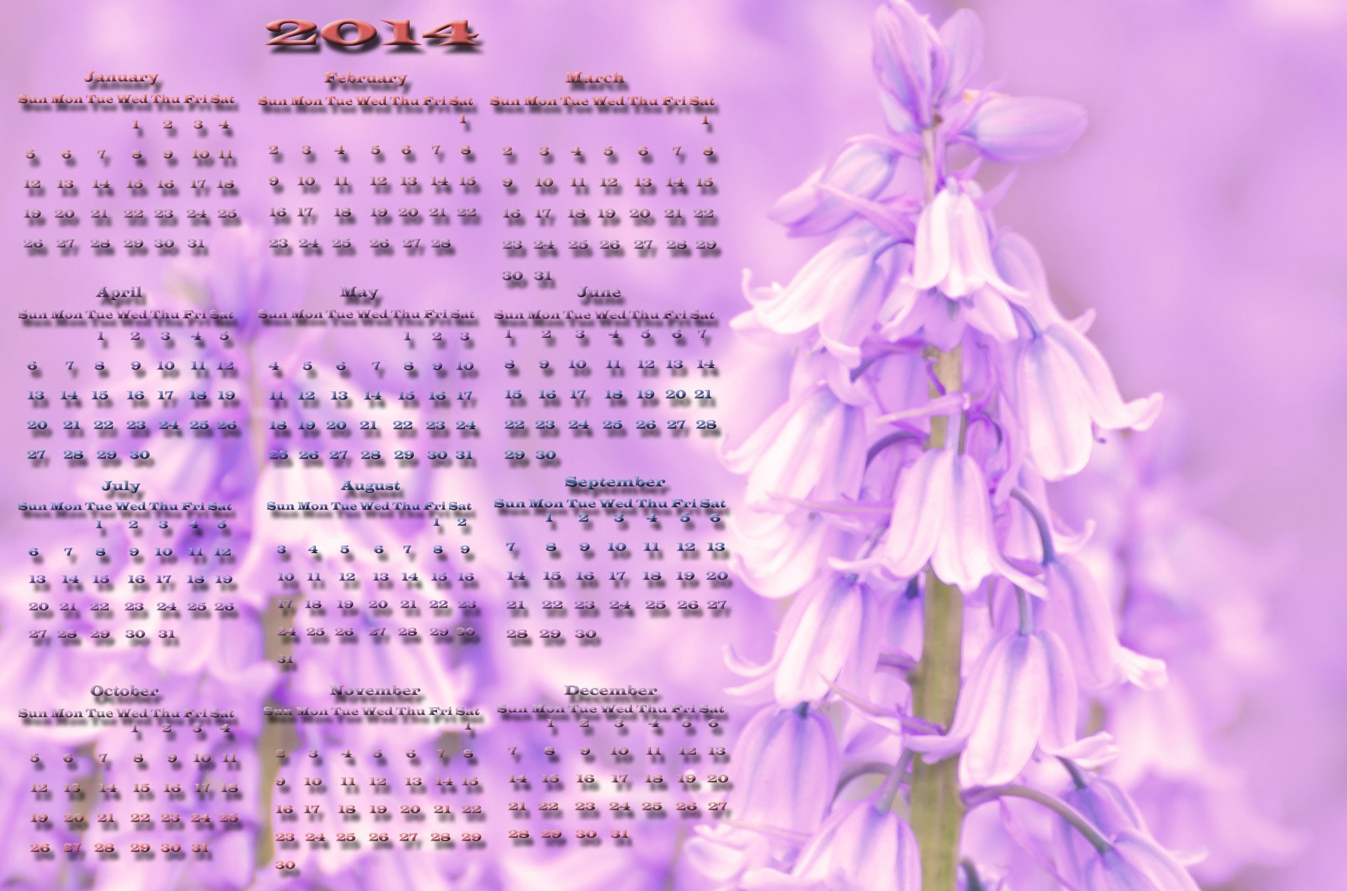 2014 calendar vector free photo