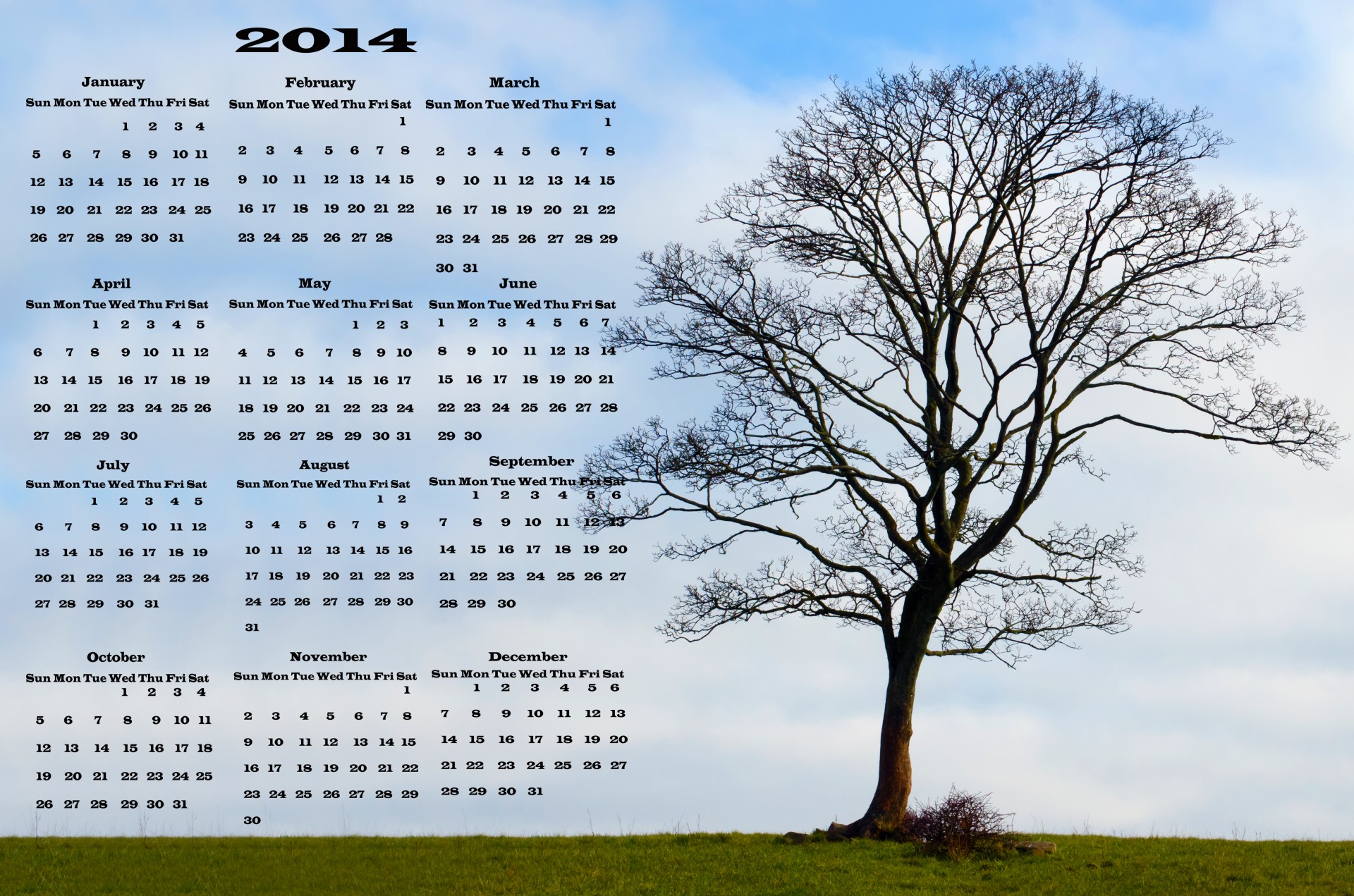 2014 calendar vector free photo